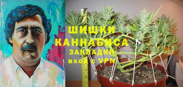 хмурый Богородицк