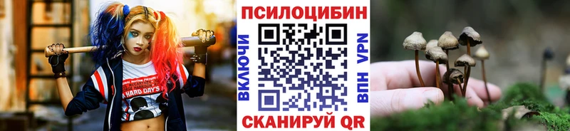 Галлюциногенные грибы ЛСД  Купить  Медынь 